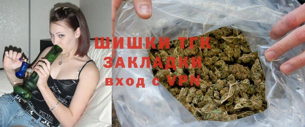 прущие крисы Тайга