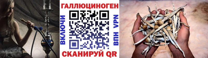 Галлюциногенные грибы MAGIC MUSHROOMS  mega как зайти  Тотьма 